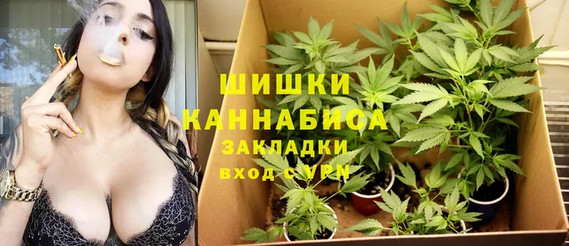 МАРИХУАНА OG Kush  закладка  Сольцы 